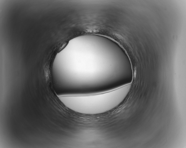 X0000088881444200706080731