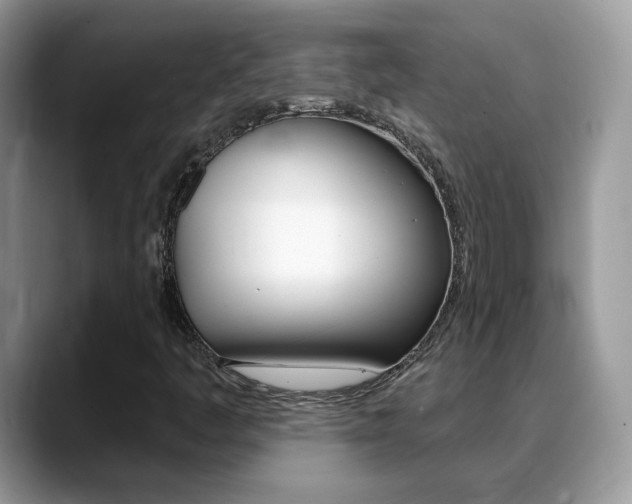 X0000088881445200706080731