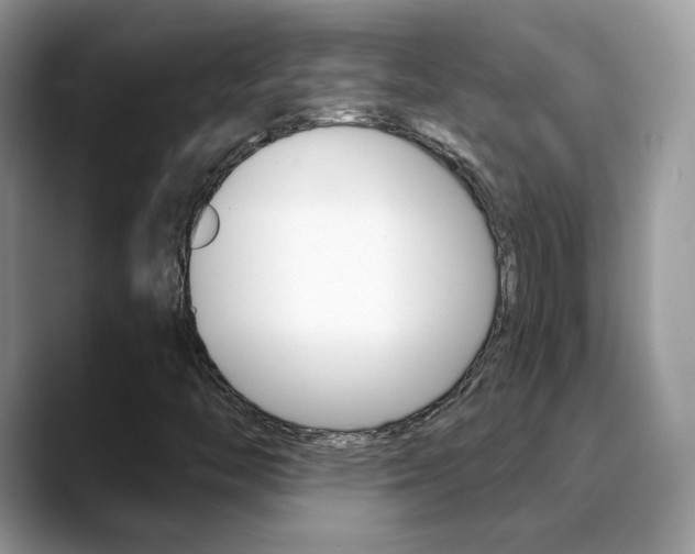 X0000088881446200706080731