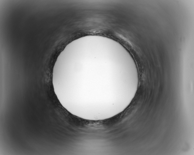 X0000088881447200706080731