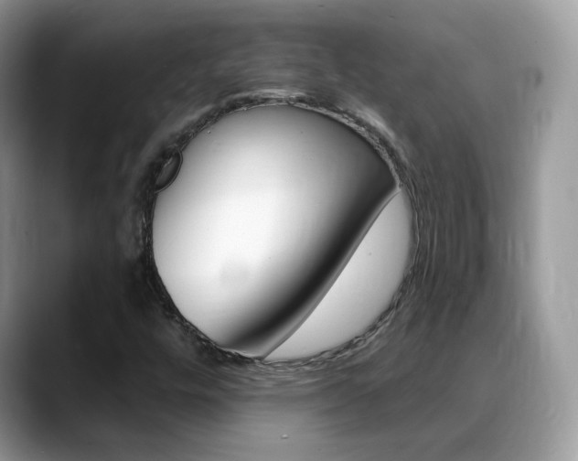 X0000088881448200706080731