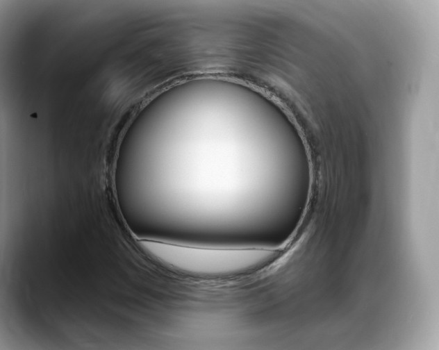X0000088881449200706080731