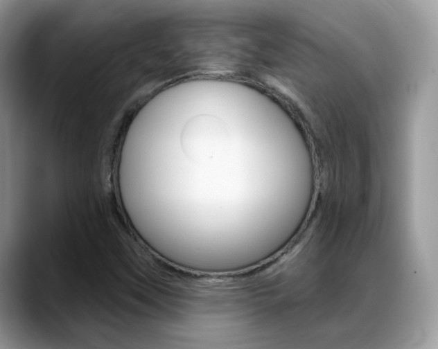 X0000088881451200706080731