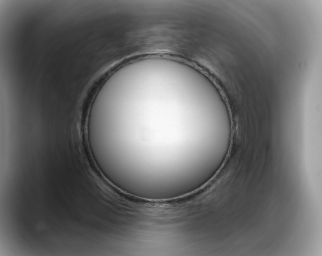 X0000088881452200706080731