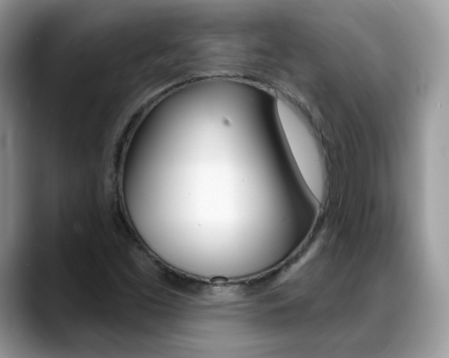 X0000088881453200706080731