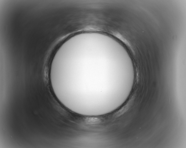 X0000088881454200706080731