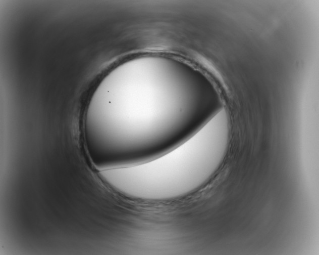 X0000088881456200706080731