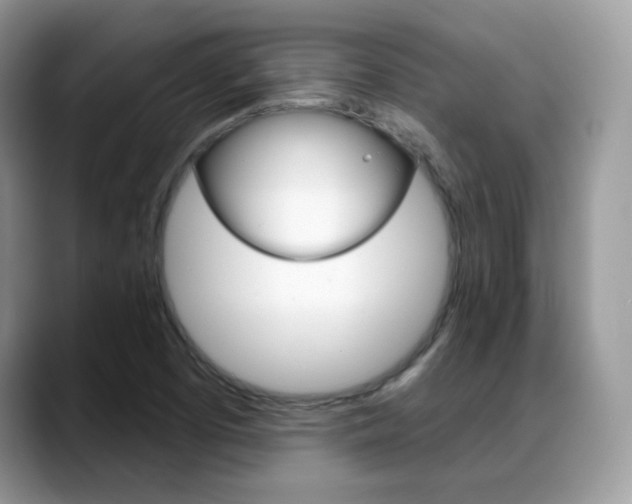 X0000088881457200706080731