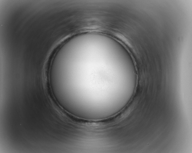 X0000088881458200706080731
