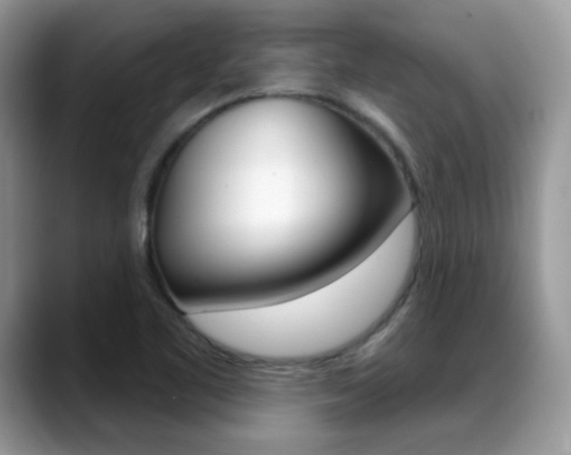 X0000088881461200706080731