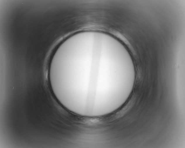 X0000088881462200706080731