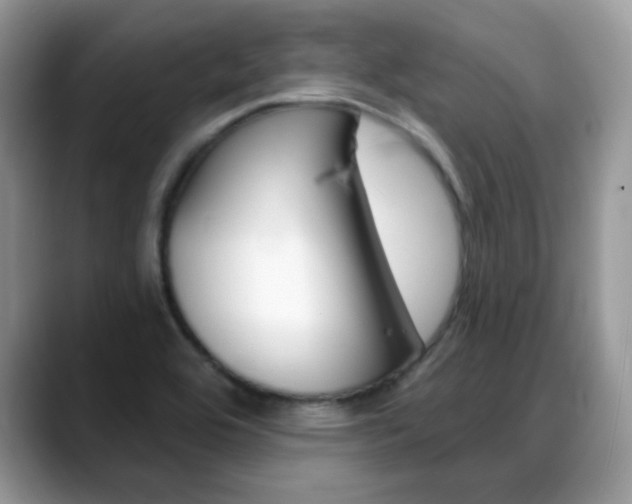 X0000088881464200706080731