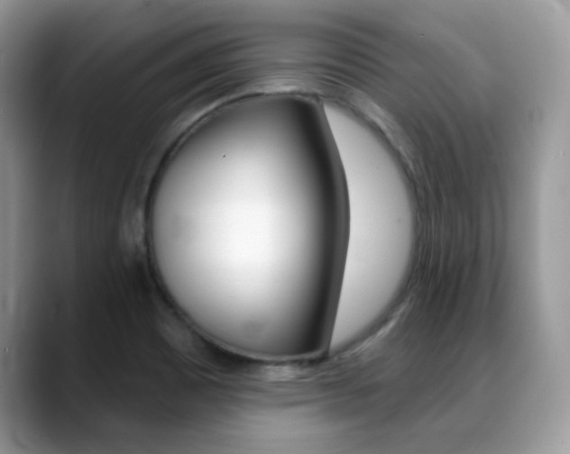 X0000088881465200706080731