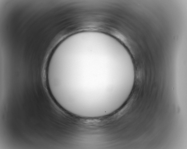 X0000088881466200706080731