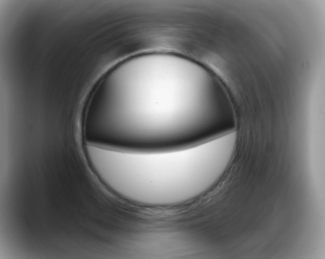 X0000088881468200706080731