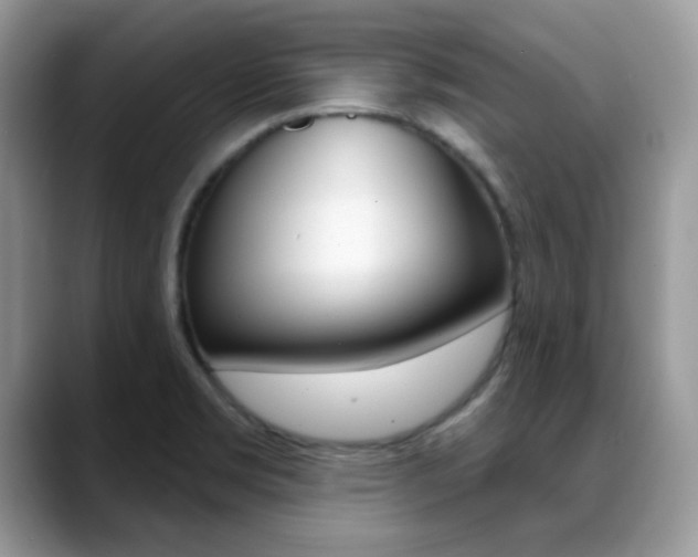 X0000088881469200706080731