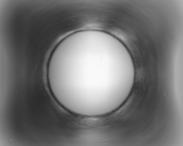 X0000088881470200706080731