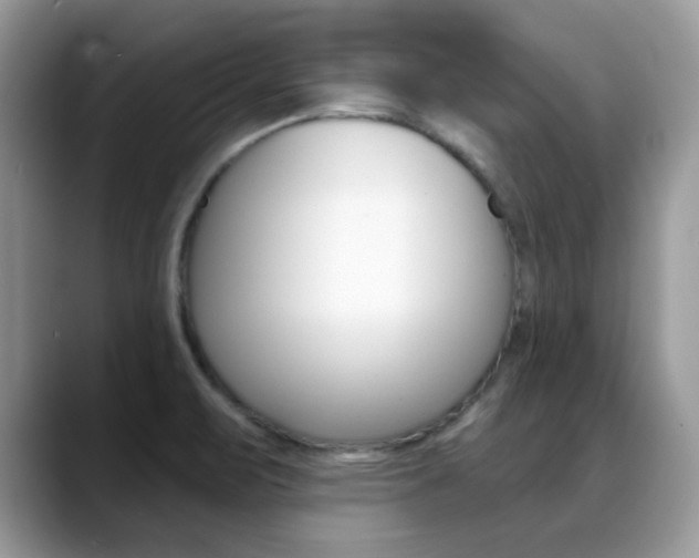 X0000088881471200706080731