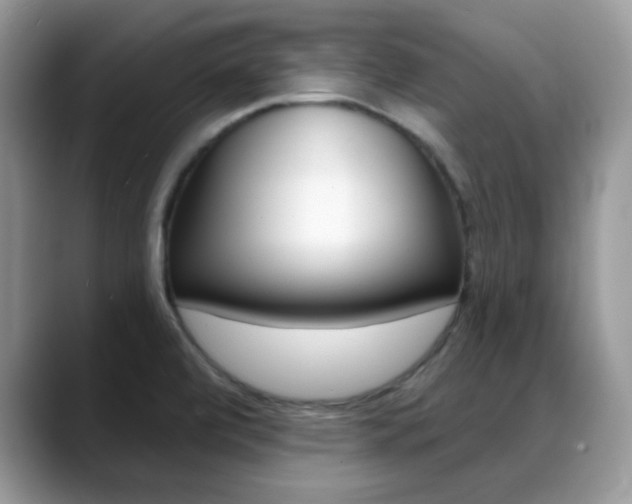 X0000088881472200706080731