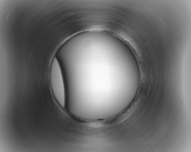 X0000088881473200706080731