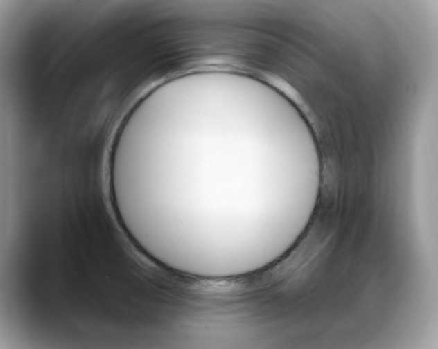 X0000088881474200706080731