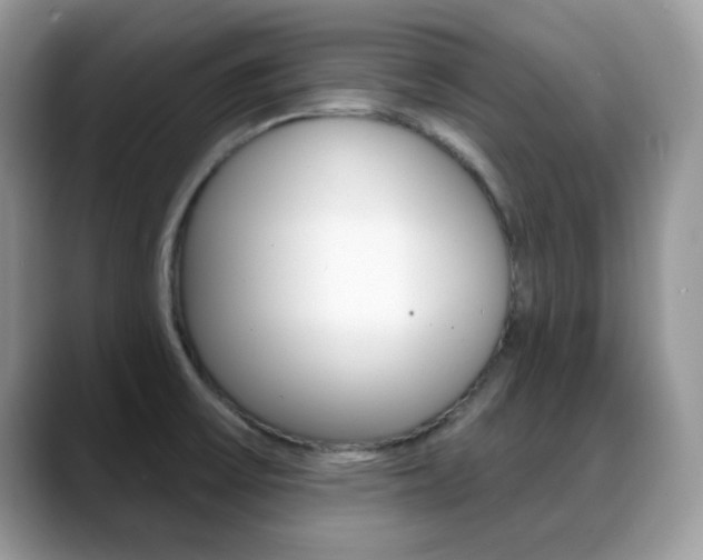 X0000088881475200706080731