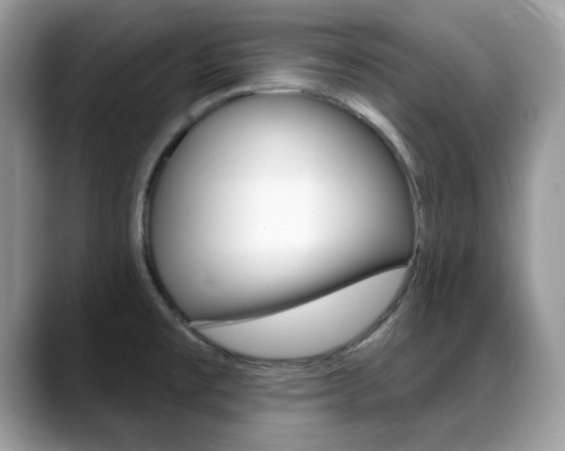 X0000088881477200706080731