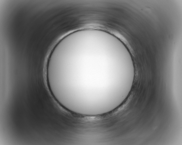 X0000088881478200706080731