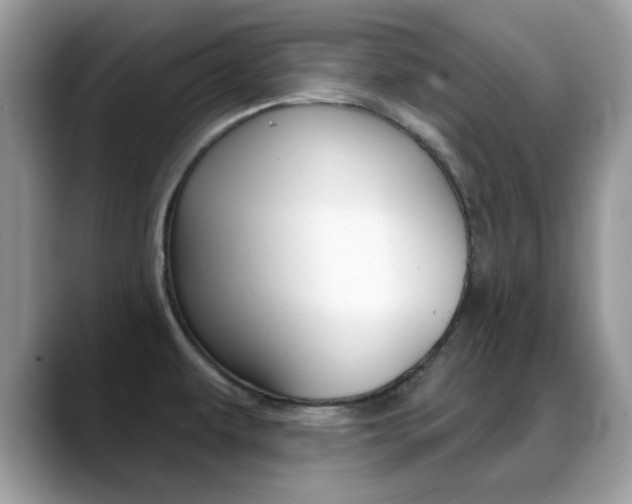 X0000088881479200706080731
