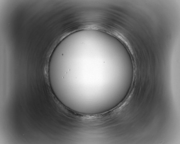 X0000088881481200706080731