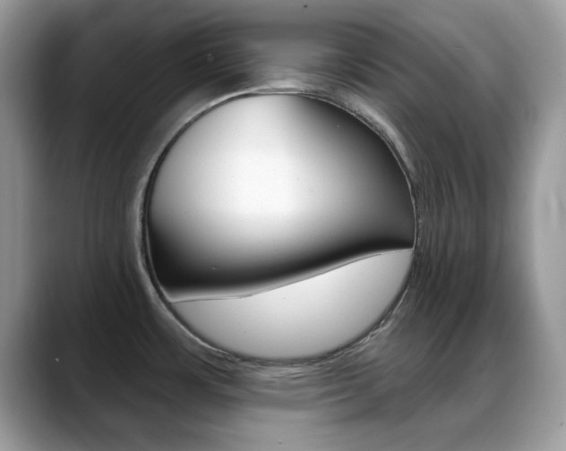 X0000088881483200706080731