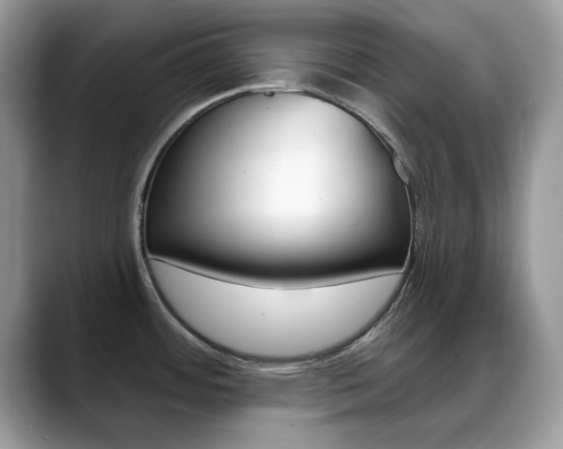X0000088881484200706080731
