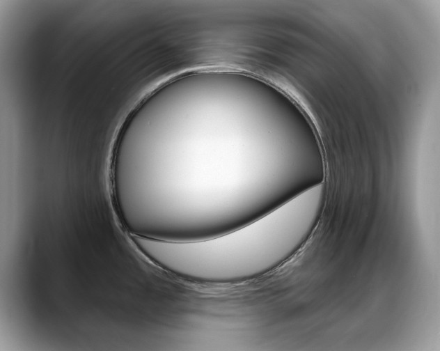 X0000088881485200706080731