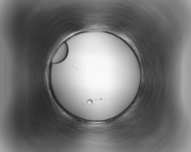 X0000088881486200706080731