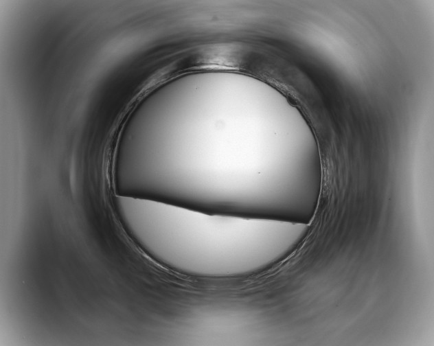 X0000088881487200706080731
