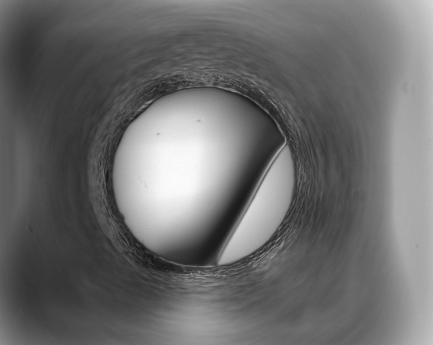 X0000088881489200706080730