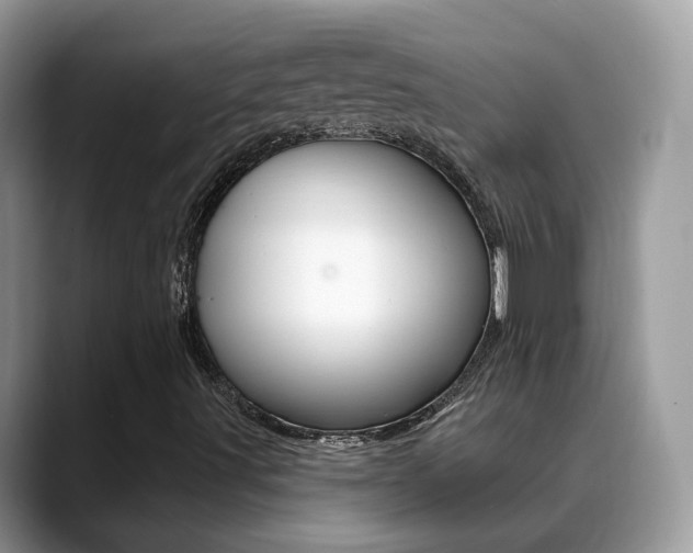 X0000088881491200706080730