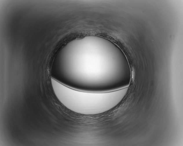 X0000088881492200706080730