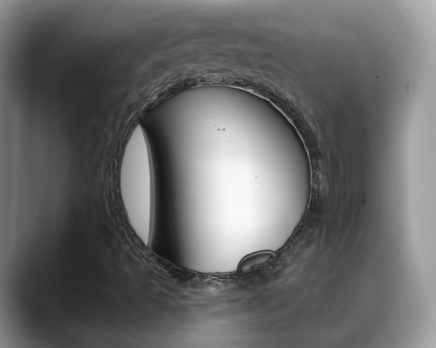 X0000088881493200706080730