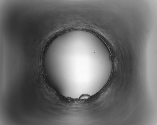 X0000088881494200706080730