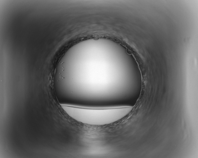X0000088881495200706080730