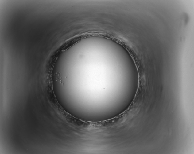 X0000088881496200706080730