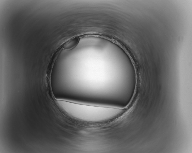 X0000088881497200706080730