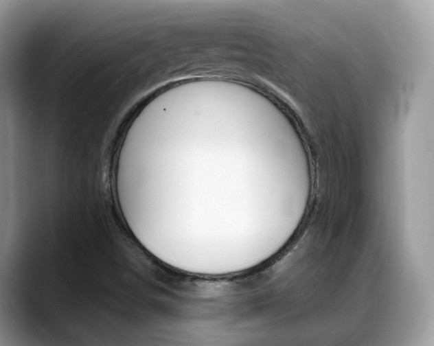 X0000088881498200706080730