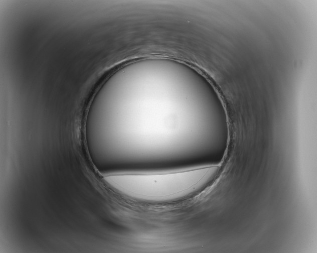 X0000088881499200706080730