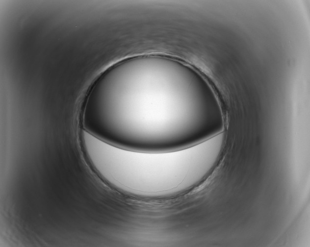 X0000088881500200706080730