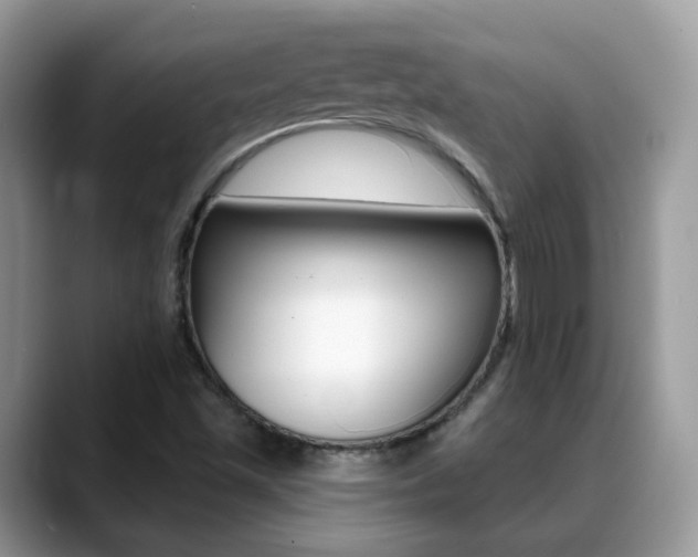 X0000088881501200706080730