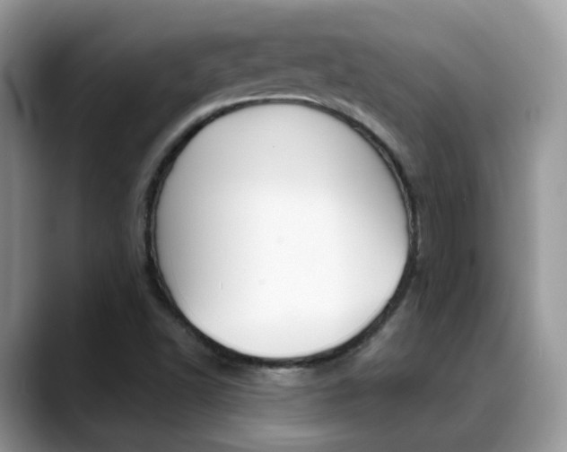 X0000088881502200706080730