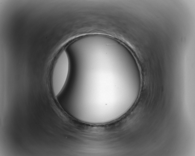 X0000088881503200706080730