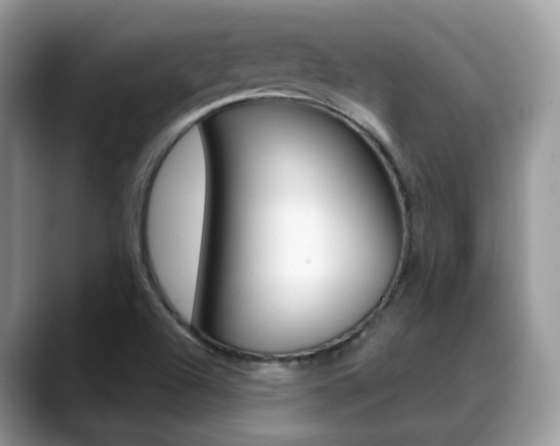 X0000088881504200706080730